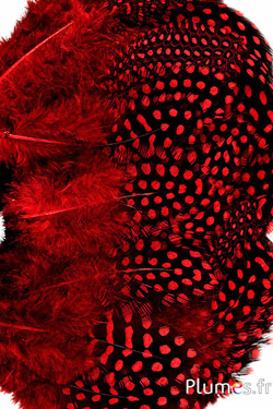 Perlhuhn - 7-13 cm - rot